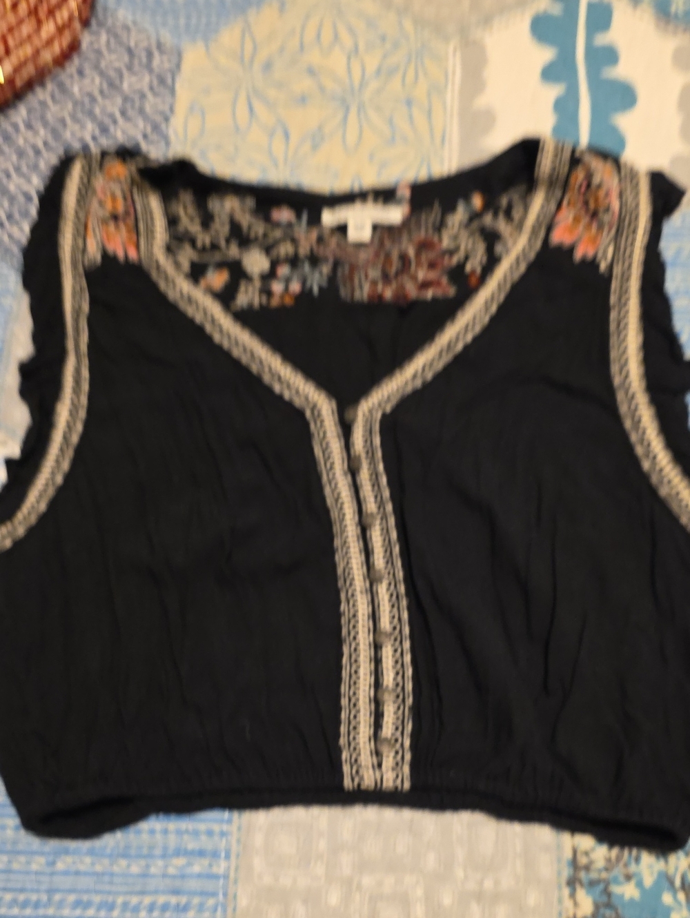 American Eagle Outfitters Black Sleeveless Embroidered Crop Top